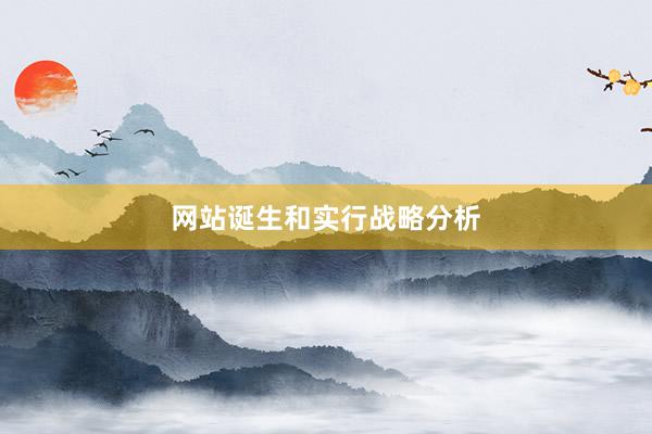 网站诞生和实行战略分析