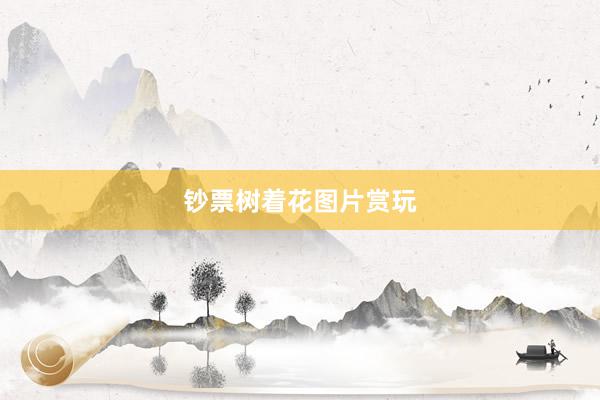 钞票树着花图片赏玩